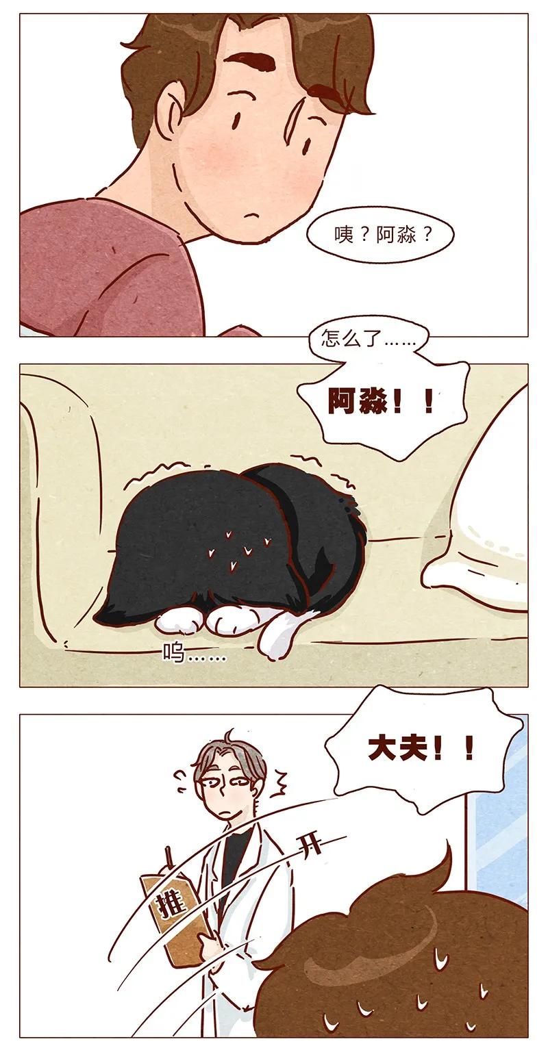 第89话阿淼医院初体验-喂，看见耳朵啦-特雷西胡,漫漫漫画（第2张）