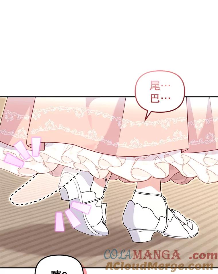 81.jpg