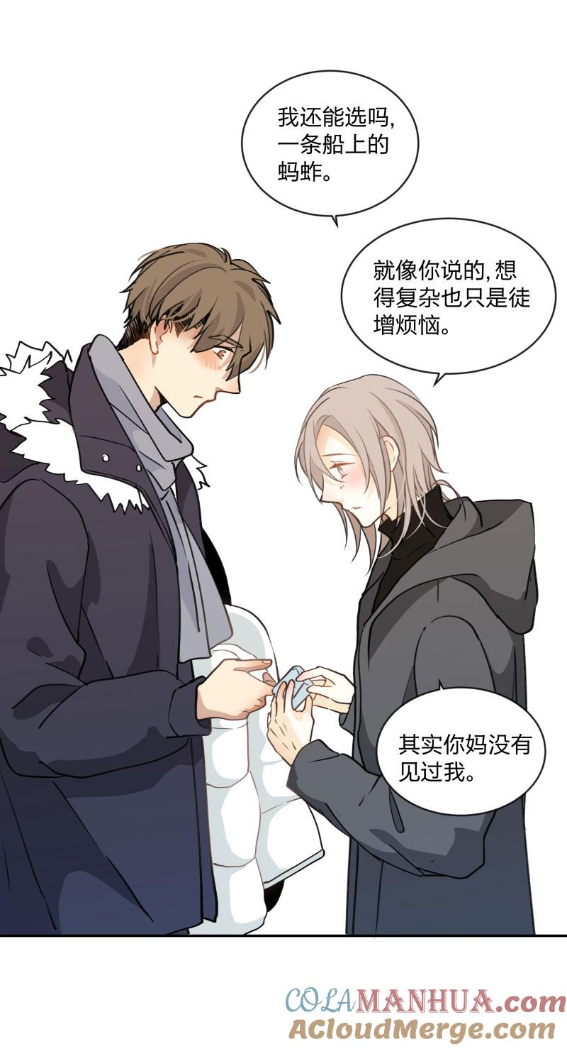 10396疯狂-心之茧-RosyStarling（第15张）