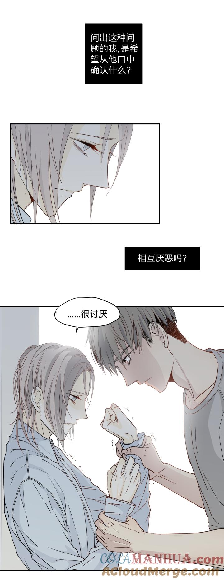 2221违心-心之茧-RosyStarling（第5张）