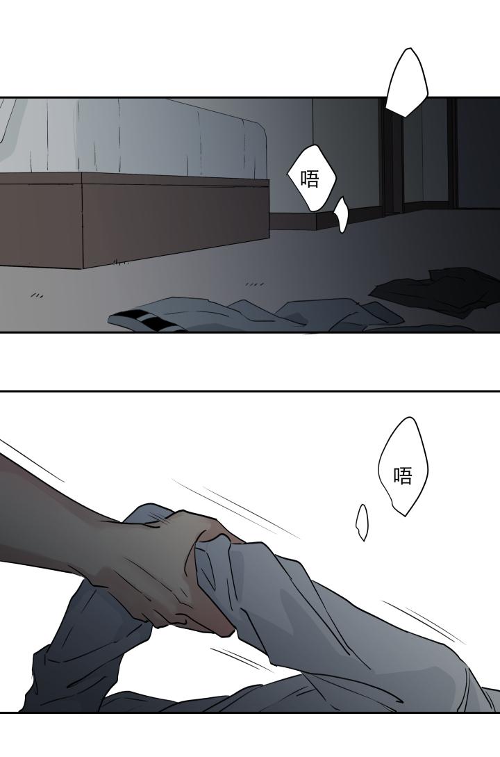 2625触，不可及-心之茧-RosyStarling（第12张）