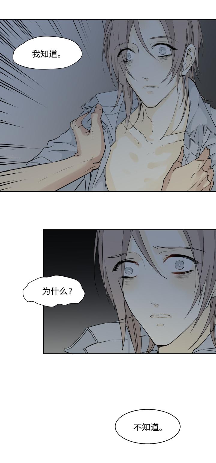 2625触，不可及-心之茧-RosyStarling（第4张）