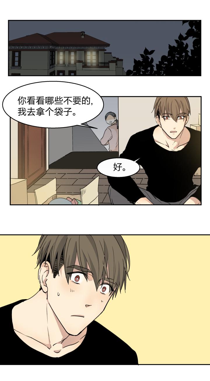 3331记不起意义的老物件-心之茧-RosyStarling（第6张）