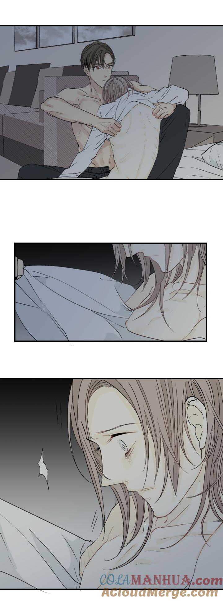 3633触目-心之茧-RosyStarling（第19张）