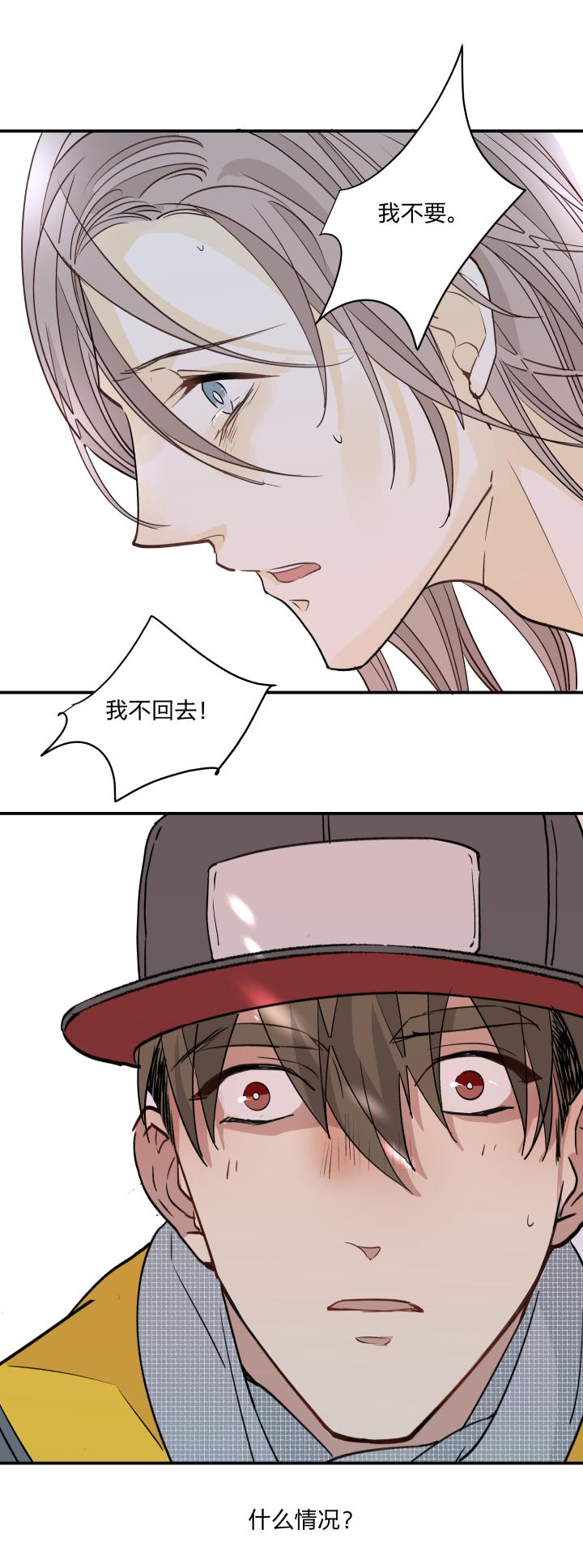 4441既美丽又脆弱的事物-心之茧-RosyStarling（第14张）