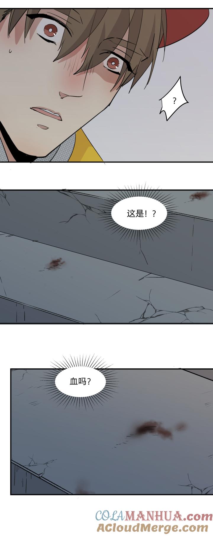 4441既美丽又脆弱的事物-心之茧-RosyStarling（第11张）