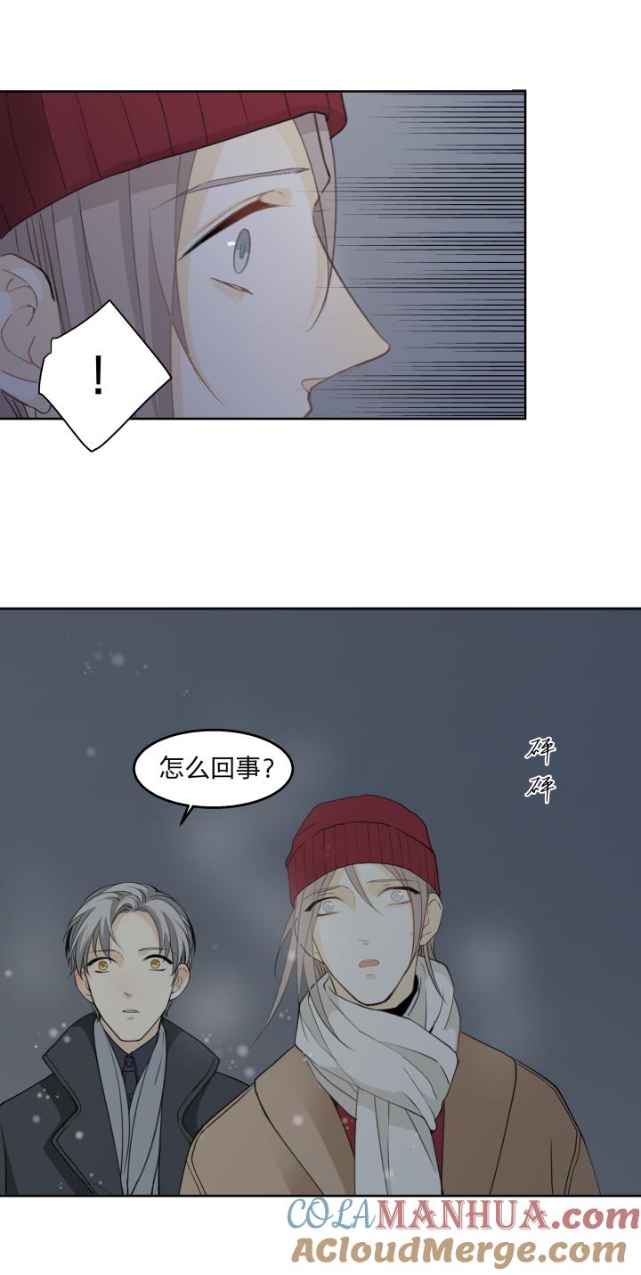 6259迎风吹雪-心之茧-RosyStarling（第7张）