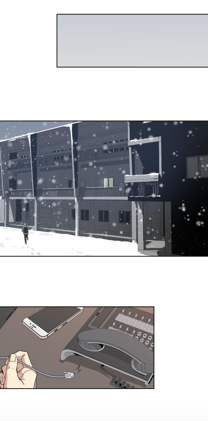 6259迎风吹雪-心之茧-RosyStarling（第4张）