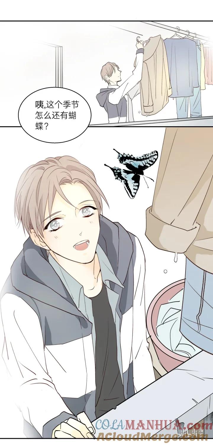 707记忆的螺旋-心之茧-RosyStarling（第11张）