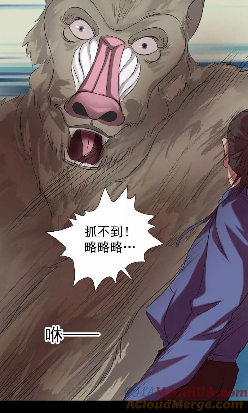 第156话-凶棺-万画筒漫画（第19张）