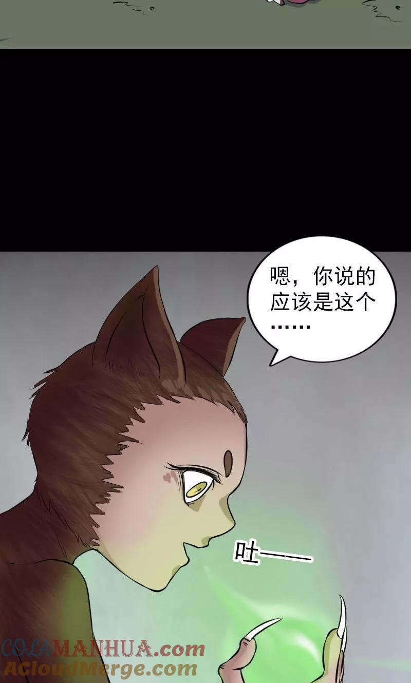 第178话-凶棺-万画筒漫画（第37张）