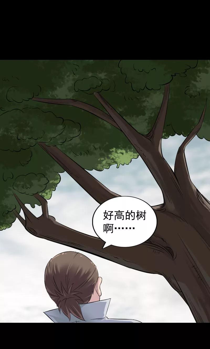 第187话-凶棺-万画筒漫画（第14张）
