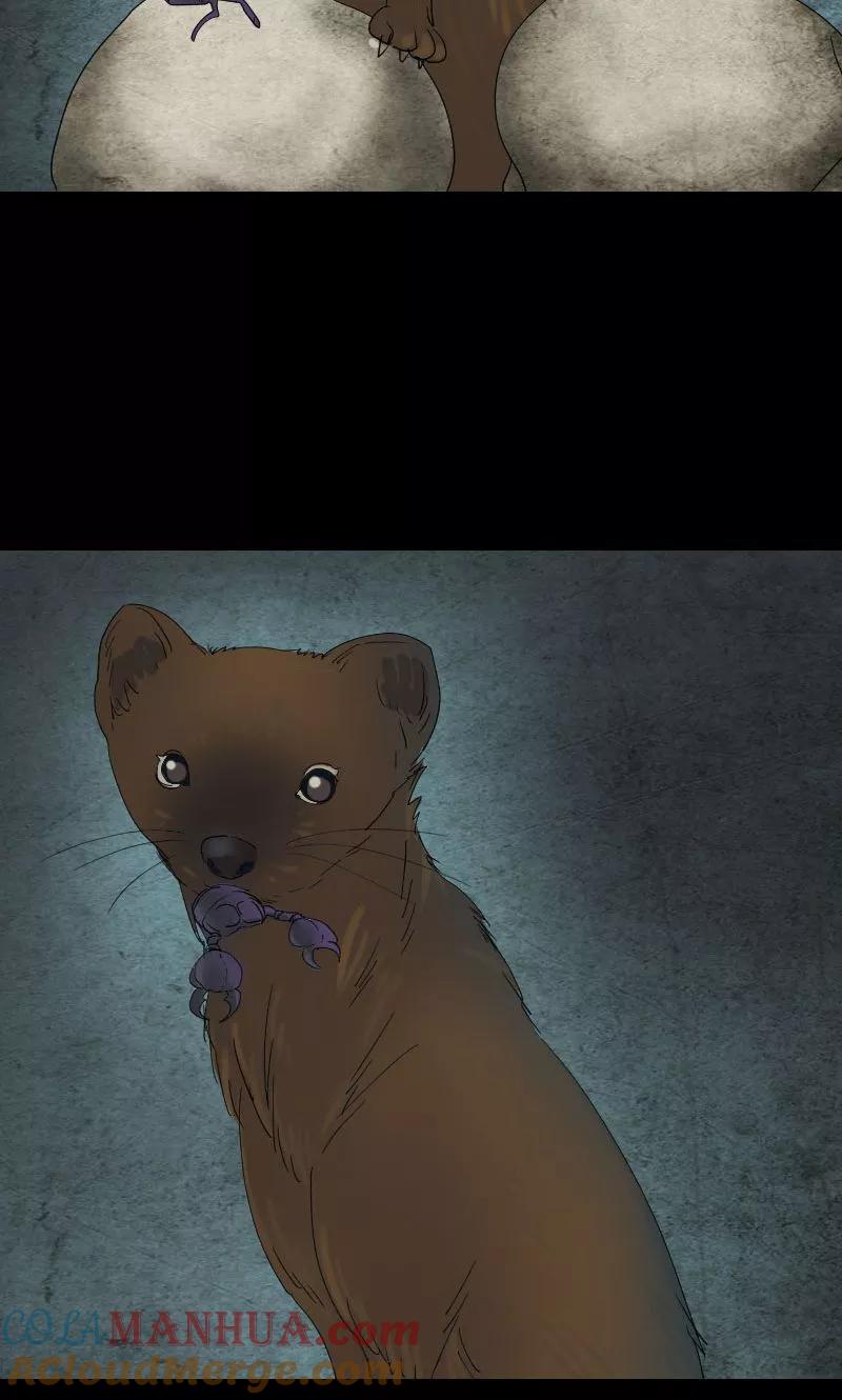 第47话-凶棺-万画筒漫画（第21张）