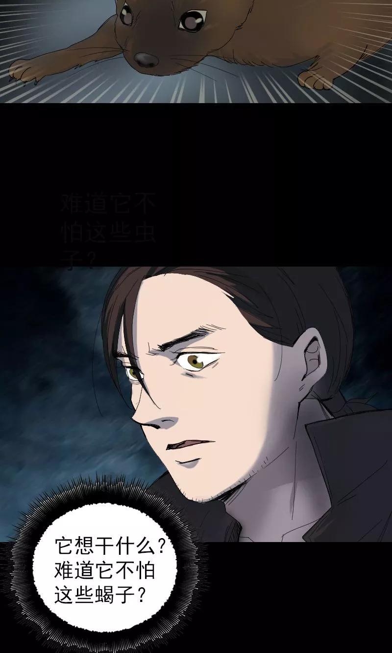 第47话-凶棺-万画筒漫画（第18张）