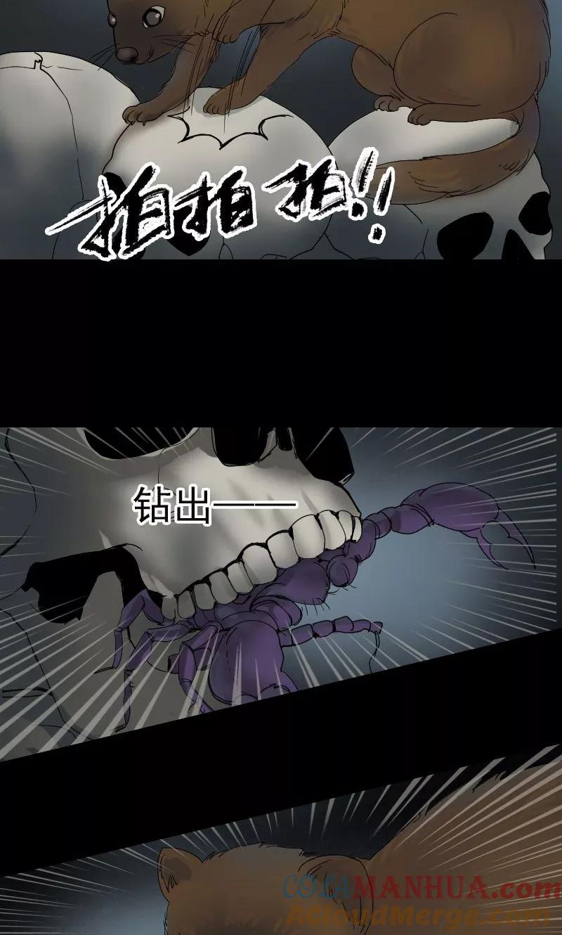 第47话-凶棺-万画筒漫画（第17张）