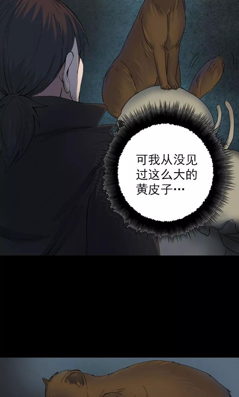 第47话-凶棺-万画筒漫画（第16张）