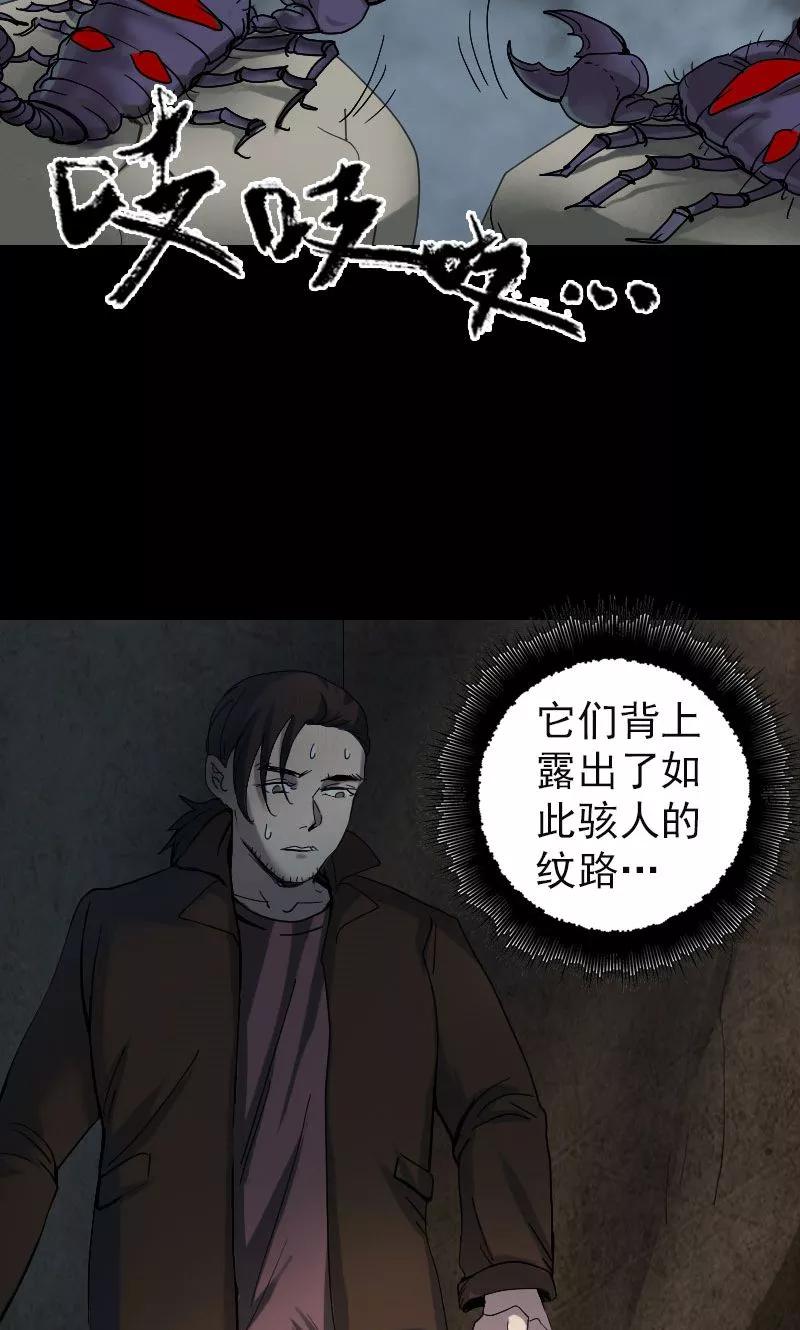 第47话-凶棺-万画筒漫画（第6张）