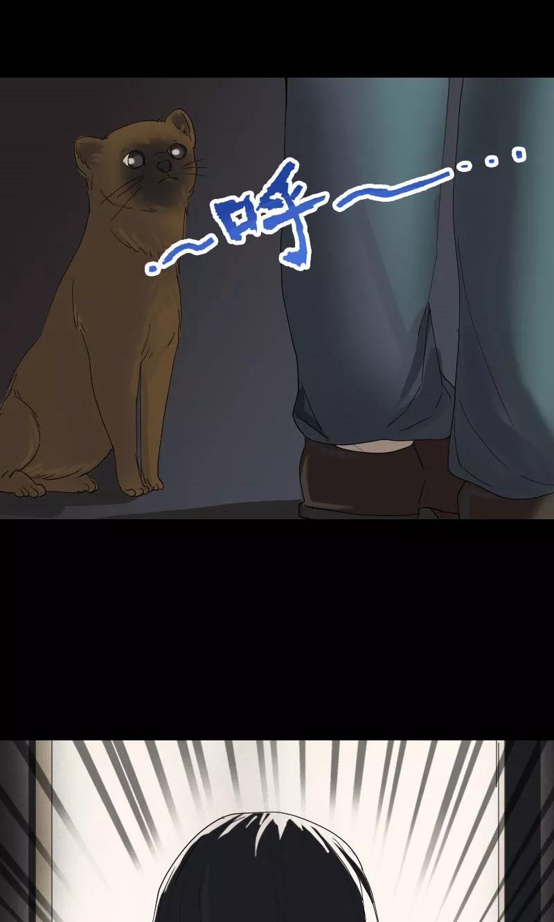 第48话-凶棺-万画筒漫画（第30张）