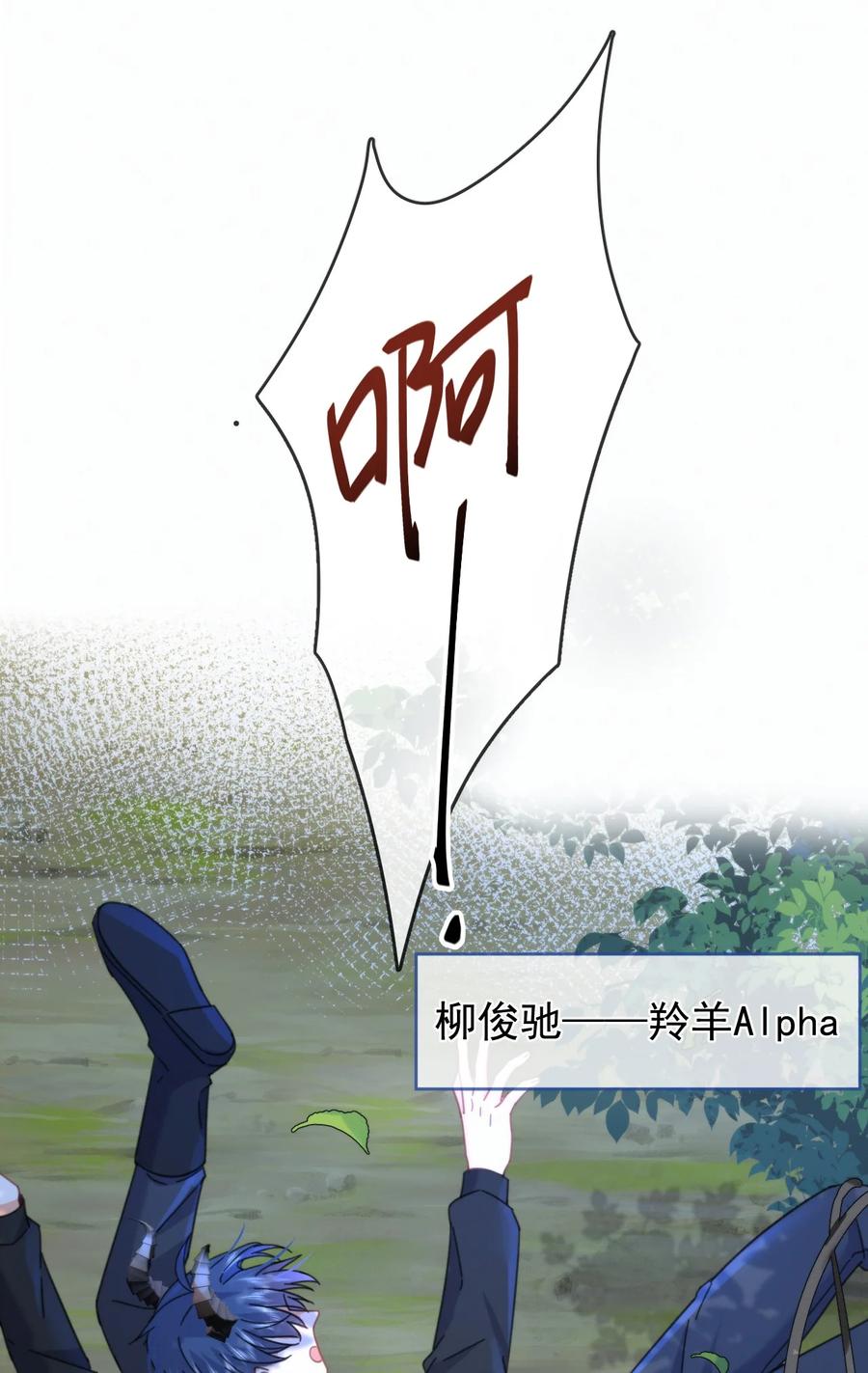 24.jpg