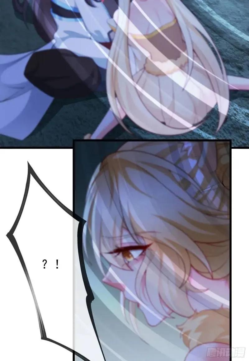 48.jpg