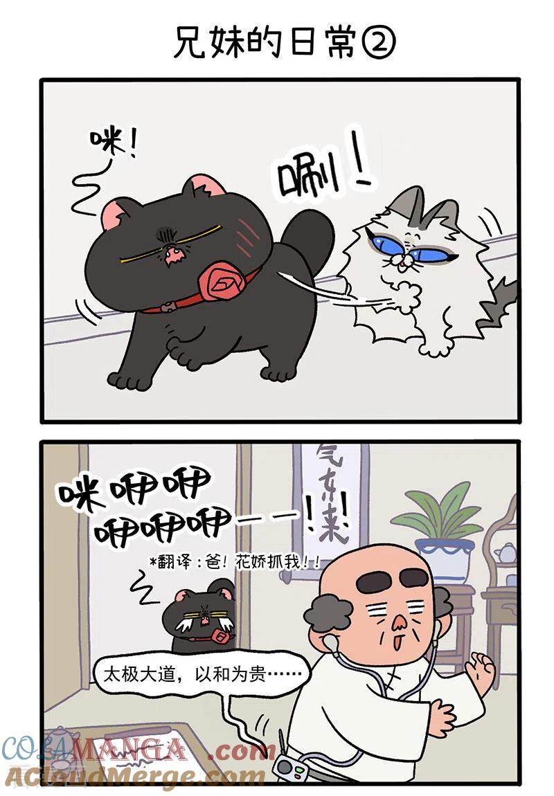 第32话兄妹的日常-阿满和麦茶-新漫画 日胖大海寺（第3张）