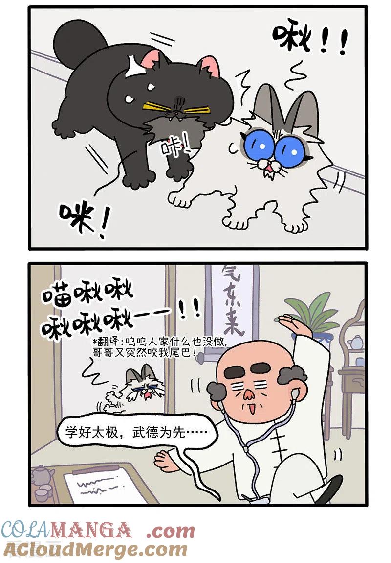 第32话兄妹的日常-阿满和麦茶-新漫画 日胖大海寺（第4张）
