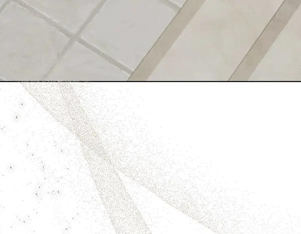 96.jpg