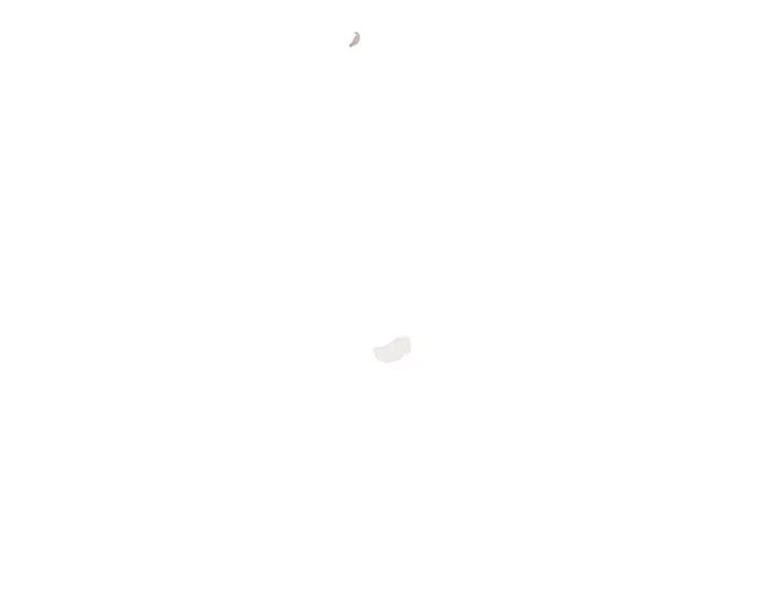 246.jpg