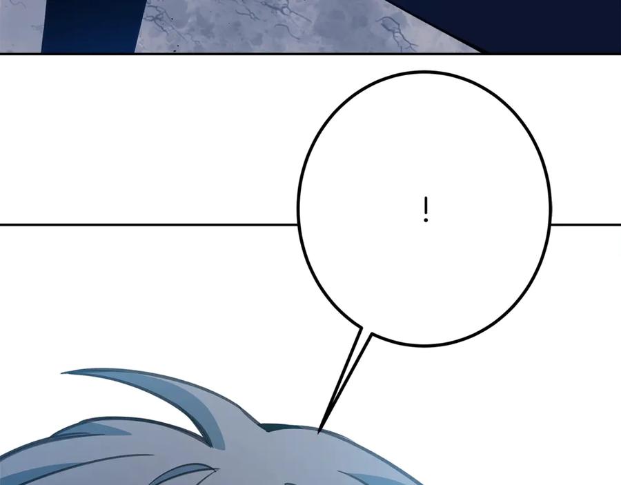 284.jpg