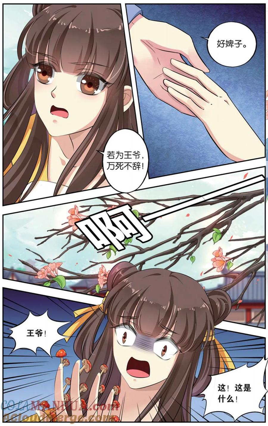 6.jpg