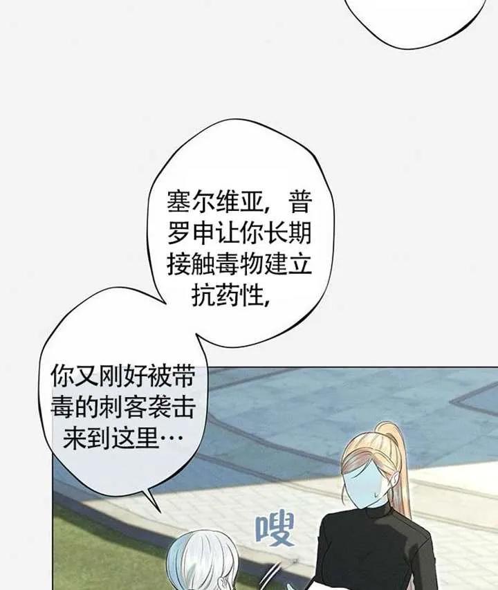 96.jpg