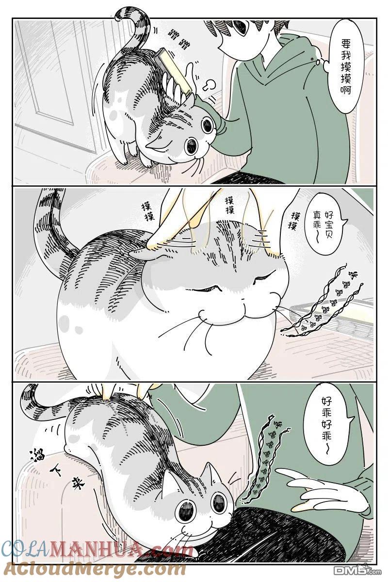第99话-关于养猫我一直是新手-キュルZ（第1张）