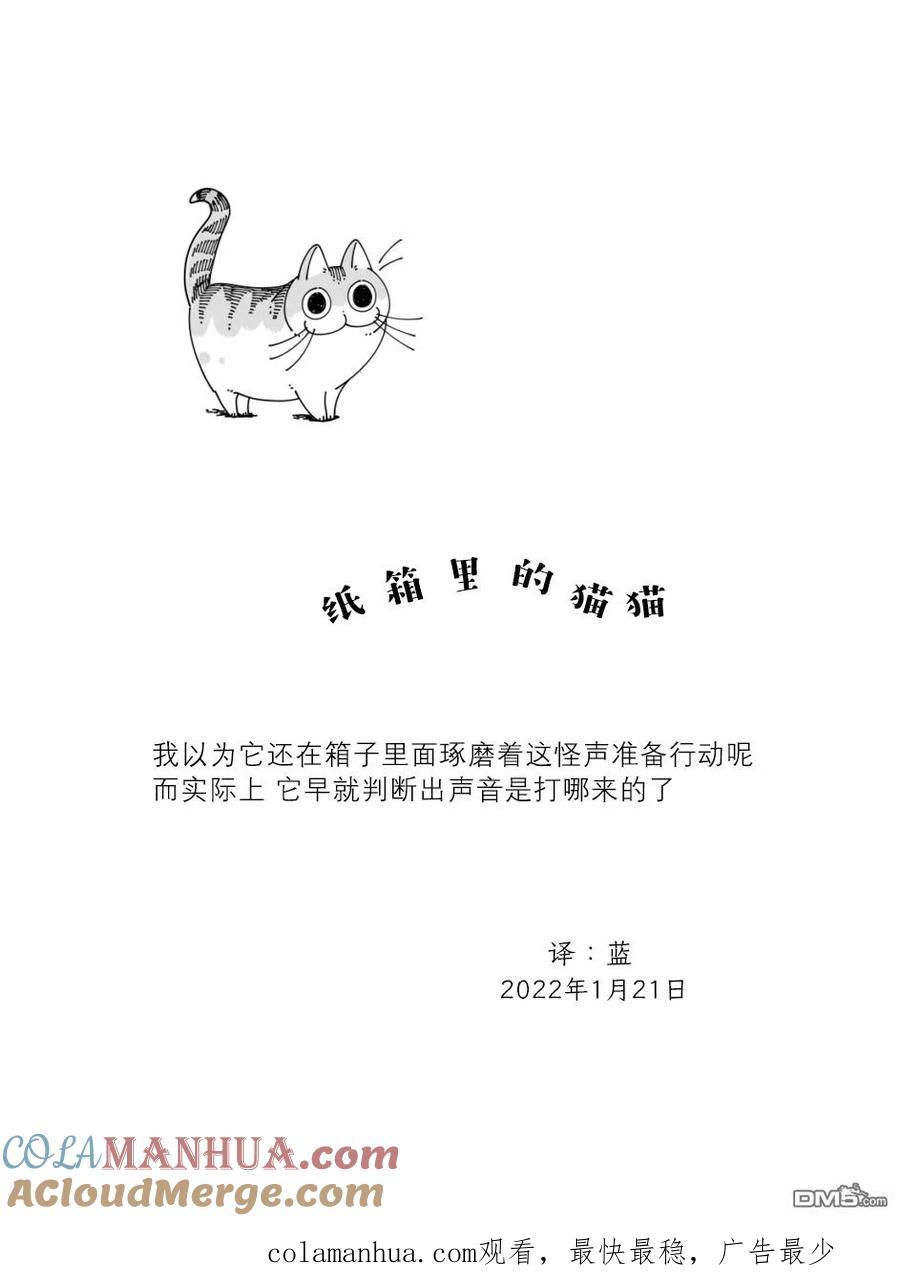 第100话-关于养猫我一直是新手-キュルZ（第2张）