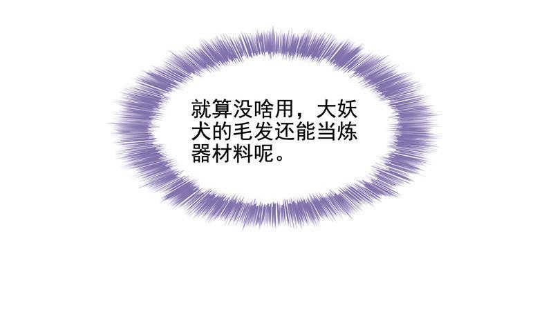 41.jpg