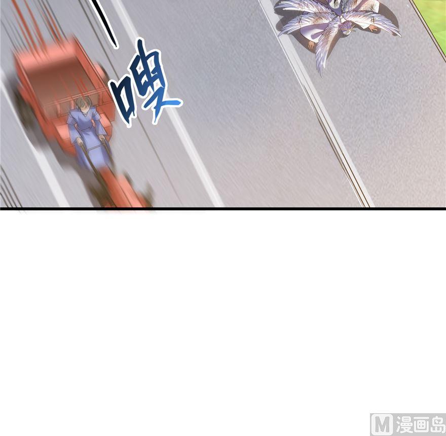 54.jpg
