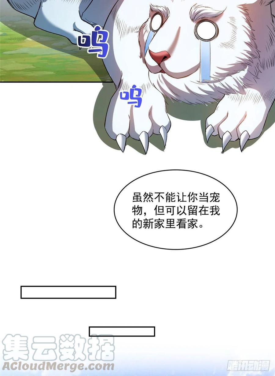 40.jpg