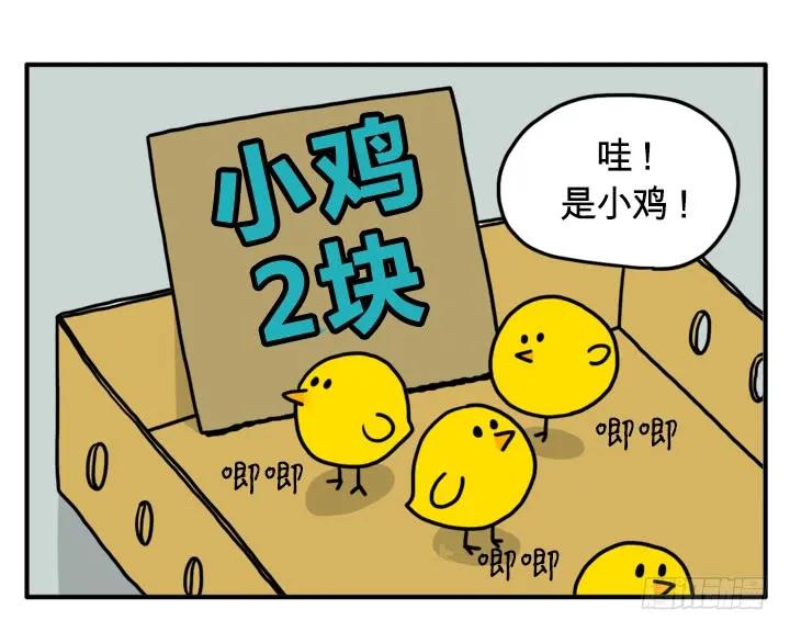 小鸡-吸血高中生血饺哥-tamiboo（第2张）