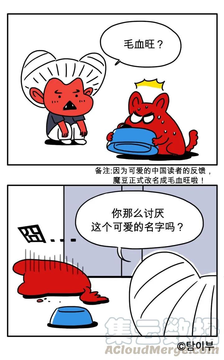 纽约小吃-吸血高中生血饺哥-tamiboo（第7张）