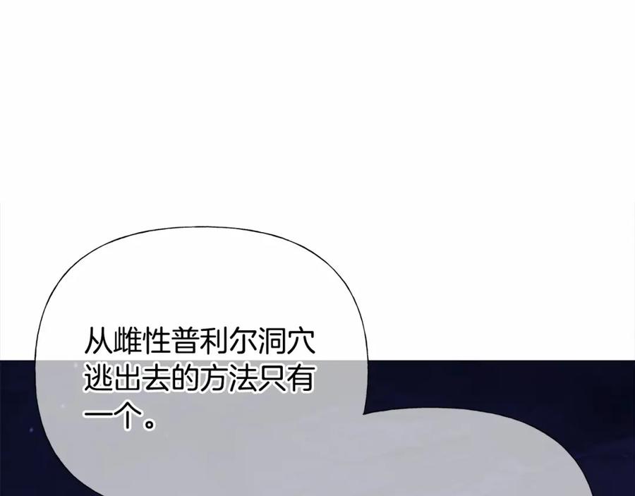 115.jpg