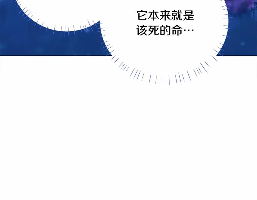 126.jpg