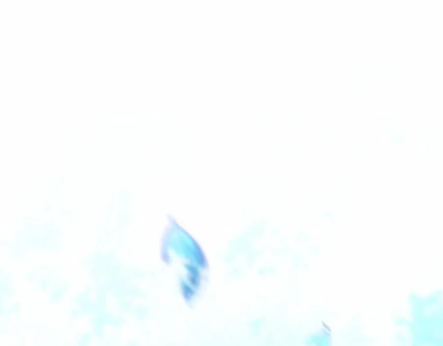60.jpg