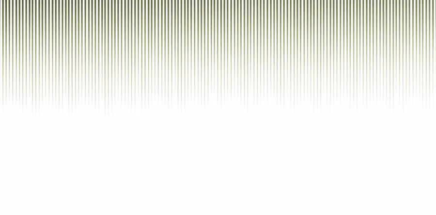 95.jpg