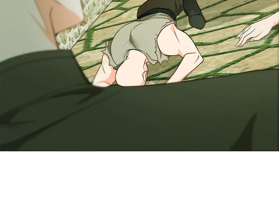 103.jpg
