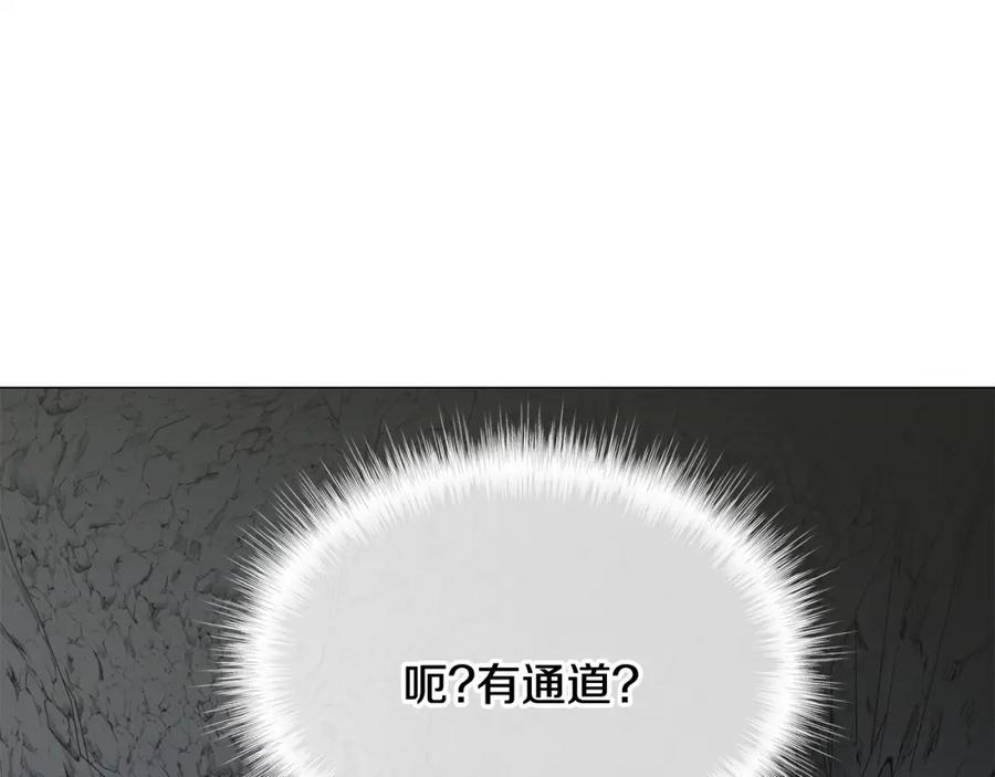 100.jpg