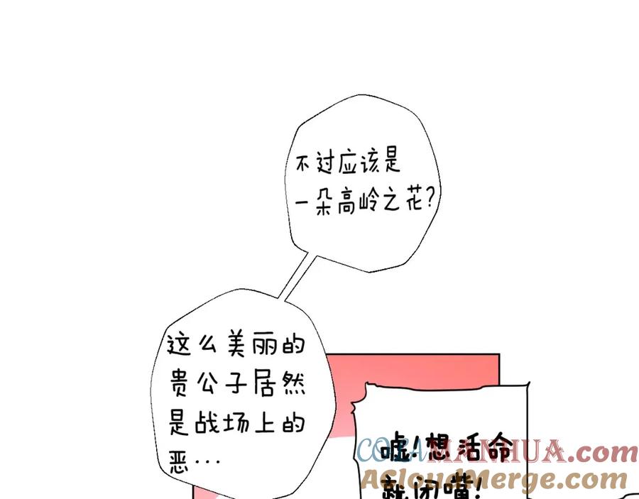 97.jpg