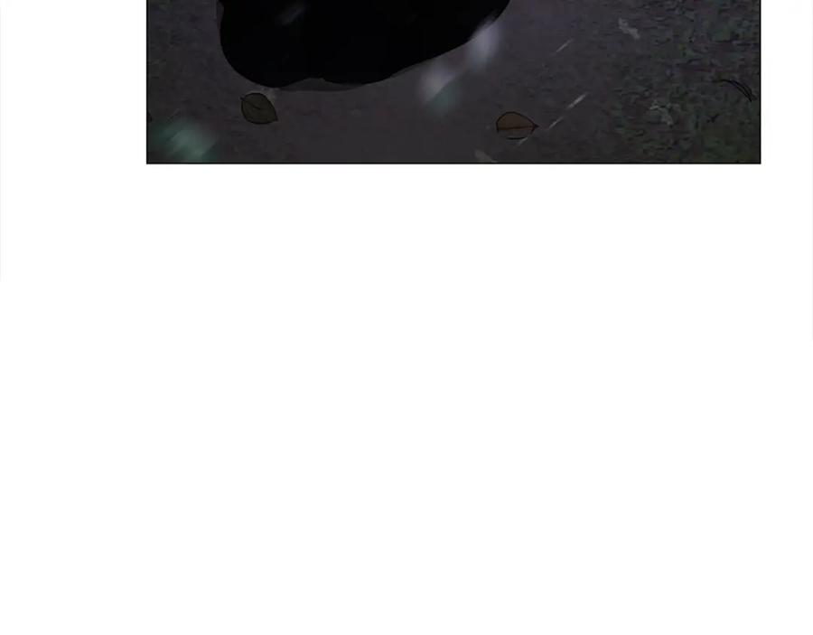 95.jpg