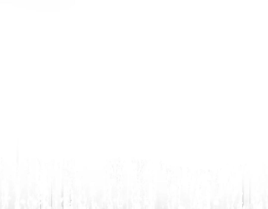 80.jpg