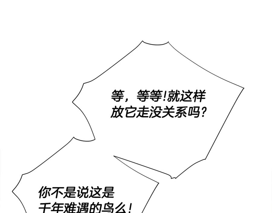 96.jpg