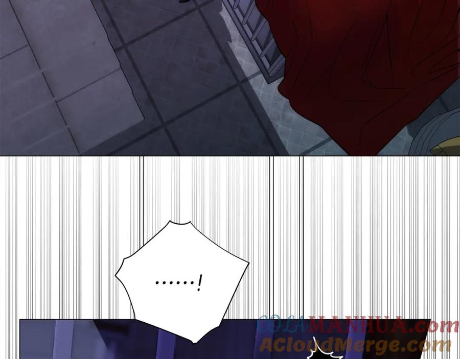 113.jpg