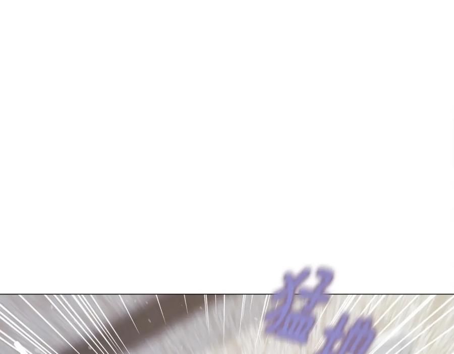 146.jpg